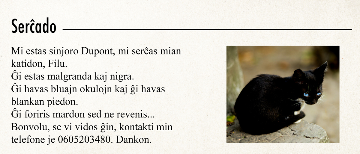 Mi estas sinjoro Dupon, mi serĉas mian katidon, Filu. Ĝi estas malgranda kaj nigra. Ĝi havas bluajn okulojn kaj ĝi havas blankan piedon. Ĝi foriris mardon sed ne revenis... Bonvolu, se vi vidos ĝin, kontakti min telefone je 0605203480. Dankon.
