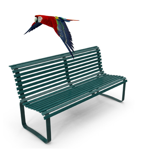 L'oiseau est au dessus du banc