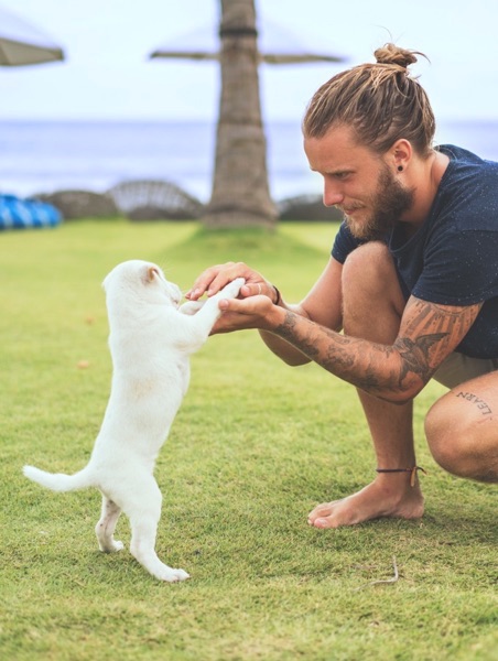 Mario ludas kun hundo